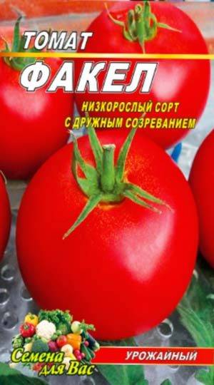 Томат родом из молдавии — описание и характеристики помидор сорта «факел»