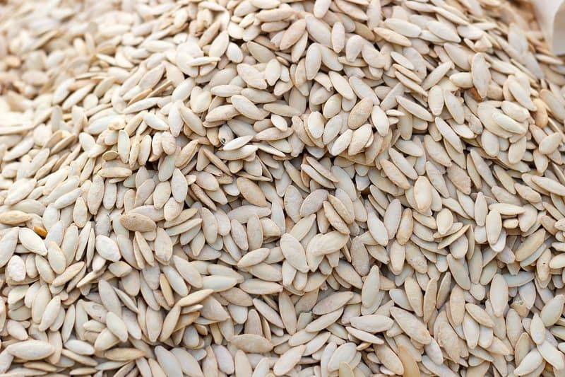 Правила кормления кур пророщенной пшеницей и как ее вырастить самостоятельно