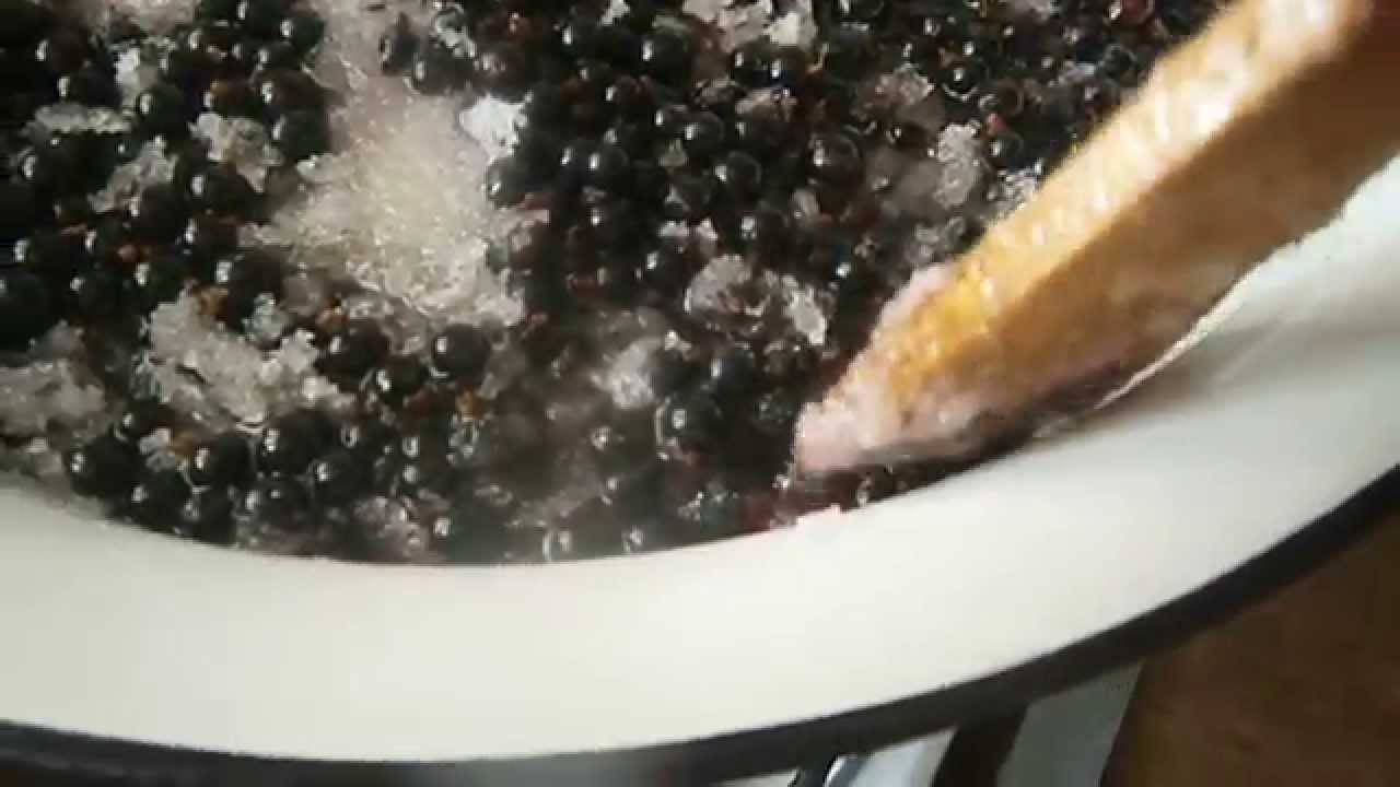 Варенье из крыжовника на зиму — хорошие рецепты на любой вкус