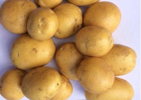 Сорт картофеля наташа: описание и характеристика, отзывы