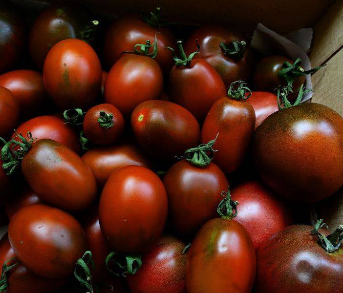 Характеристика и описание сорта томата Черная Гроздь, его урожайность