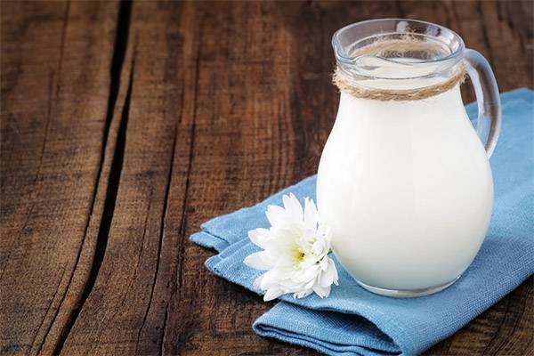Козье молоко: польза и вред для организма, состав и как выбрать