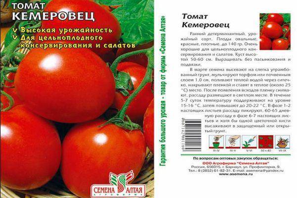 Настоящая находка для всех садоводов — томат кемеровец: описание сорта