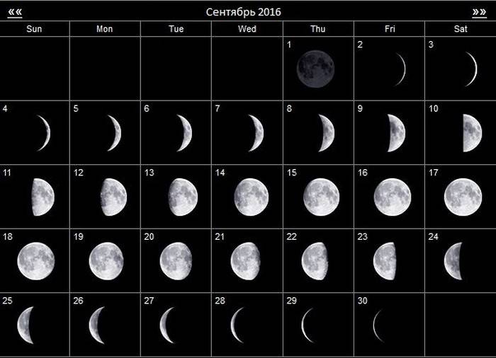 Лунно-посевной календарь посадок огородника и садовода на сентябрь