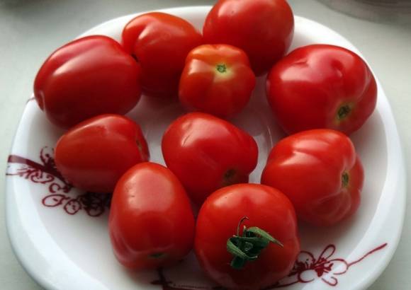 Самые неприхотливые сорта помидоров черри