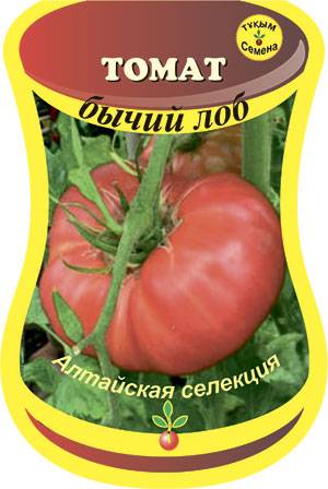 Фото, отзывы, описание, характеристика, урожайность сорта томата «бычий лоб»