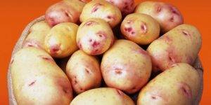 Многоликий картофель «сорокодневка»:  описание сорта, фото, советы по выращиванию