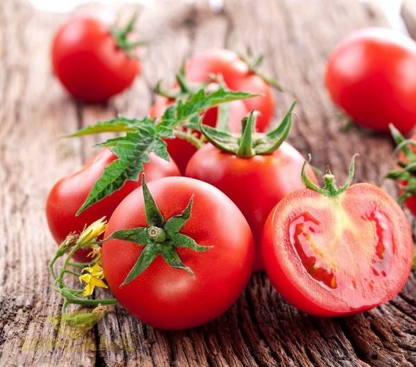Сравнительно новый, но уже полюбившийся многим овощеводам сорт томатов «взрыв», описание, характеристики, урожайность