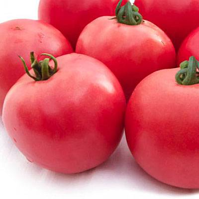 Описание сорта томата розовый царь и его характеристика