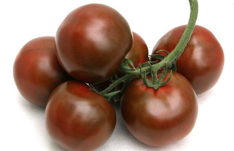 Описание неприхотливого сорта для северных регионов — томат «зимняя вишня» f1