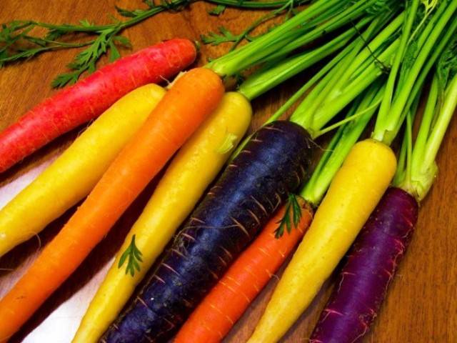 Морковь purple sun f1 — описание сорта, фото, отзывы, посадка и уход