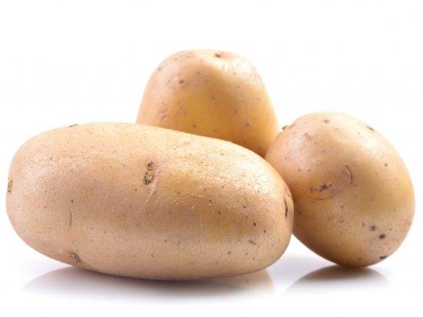 Сорт картофеля «аврора»: характеристика, описание, урожайность, отзывы и фото