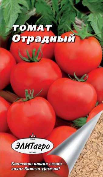 Популярные сорта томатов для открытого грунта и теплиц