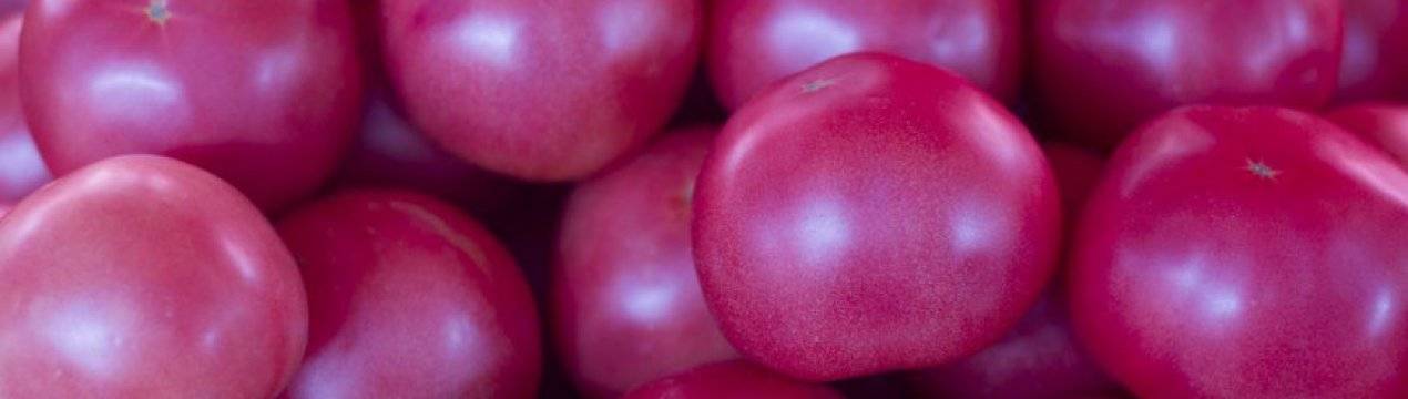 Низкорослые томаты высокой урожайности