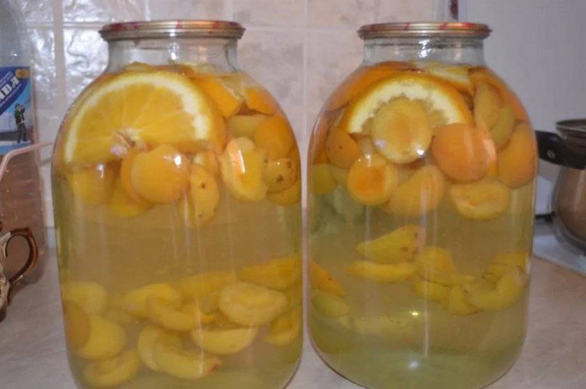 Топ 13 рецептов приготовления заготовок из лимонов на зиму