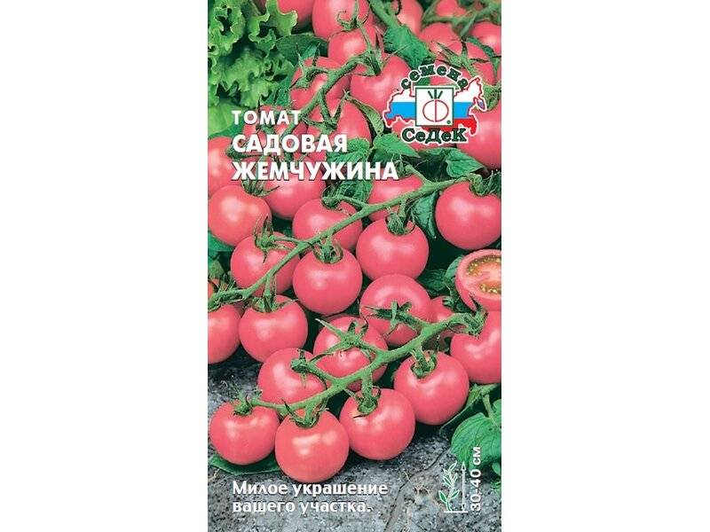 Россыпь драгоценных помидоров на грядках — томат «жемчужина красная»