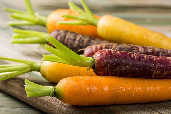 Полезна ли фиолетовая морковь? состав, польза и применение