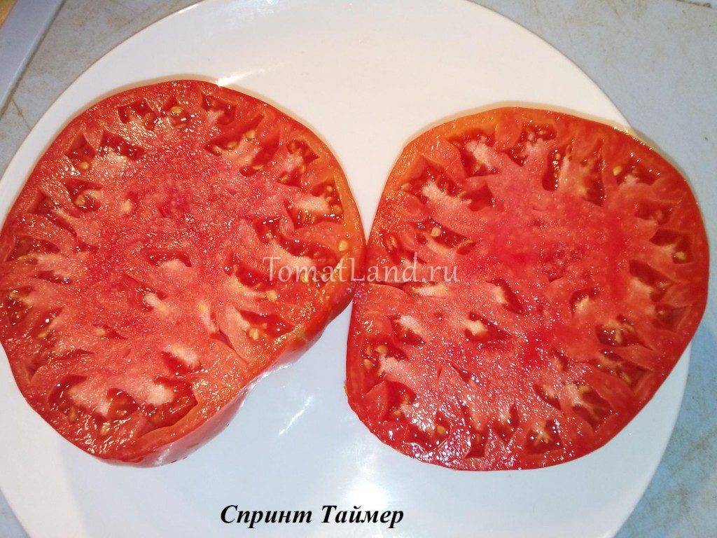 Рио спринт f1: высокоурожайный томат с хорошим вкусом. описание и советы по уходу