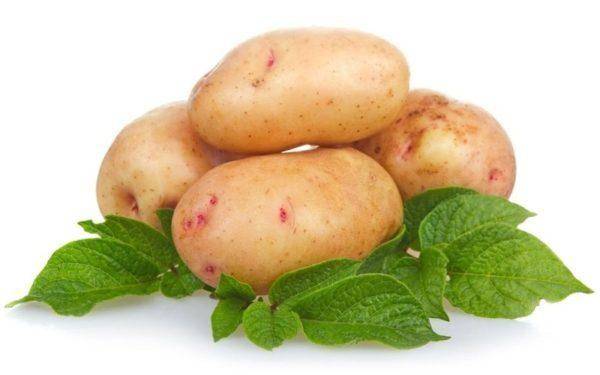 Удачный плод народной селекции — картофель «сынок»: описание сорта и фото