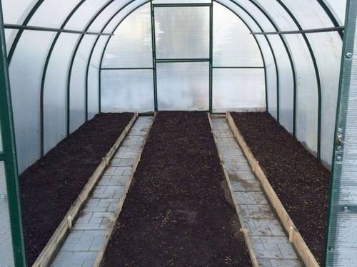 Как подготовить почву для огурцов в теплице весной перед посадкой