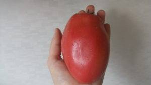 Стойкий томат «подсинское чудо» от минусинских селекционеров: описание сорта, фото