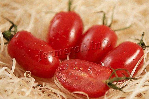 Выращивание томата дамские пальчики