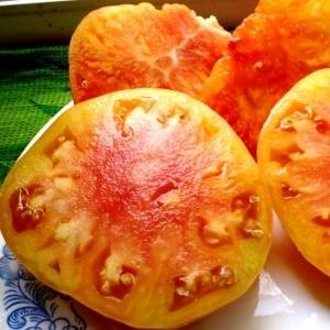 Характеристика и описание сорта томата грейпфрут