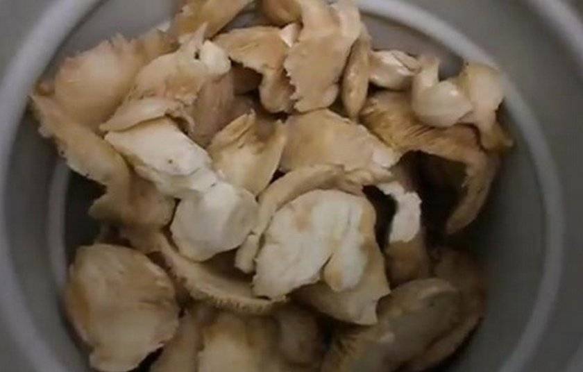 Как правильно засолить белые грибы в домашних условиях