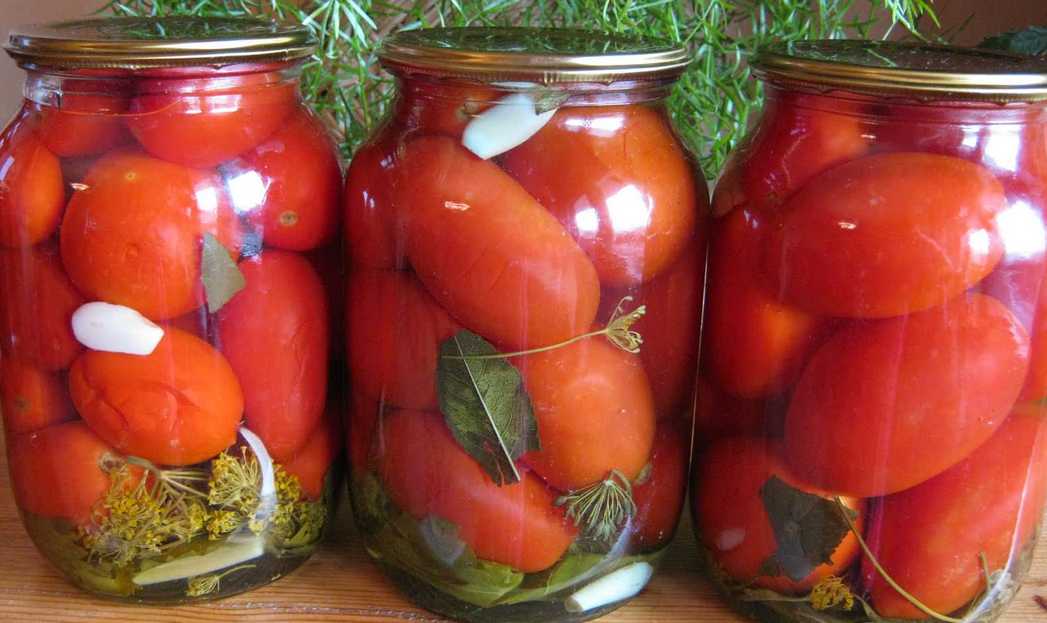 Вкусные соленые помидоры на зиму в банках — рецепты «пальчики оближешь»