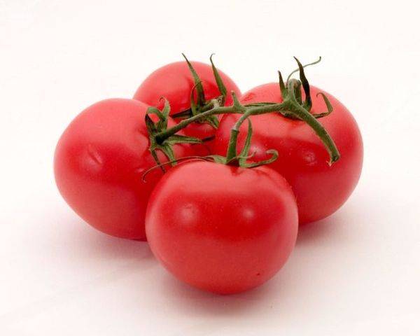 Выращивание голландских сортов томатов, преимущества, требуемые условия и уход