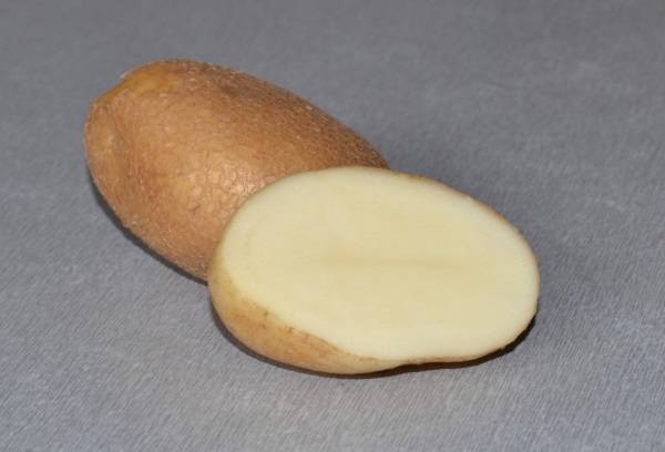 Сорт картофеля удача: описание, характеристики, фото, отзывы