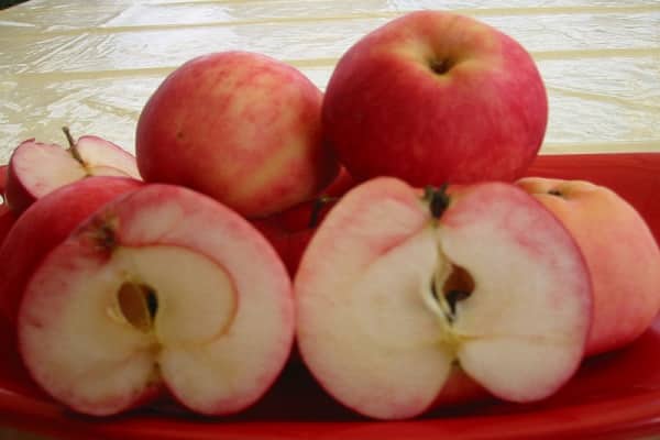 Сорт яблок с говорящим названием — изумительный
