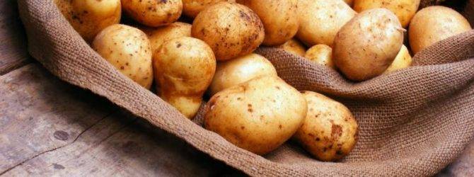 Картофель аризона: описание сорта, фото, отзывы дачников, характеристика и вкусовые качества картошки