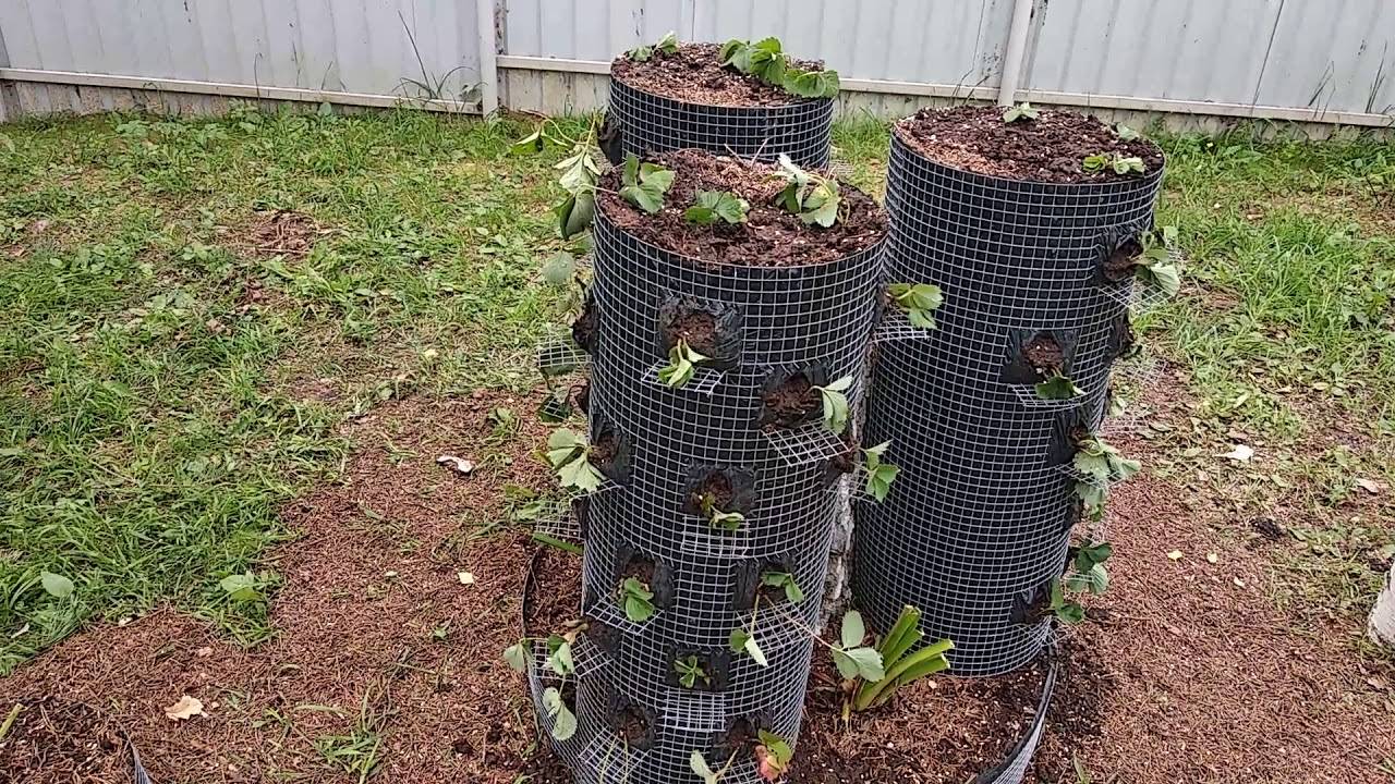 3 способа выращивания огурцов на маленьком участке