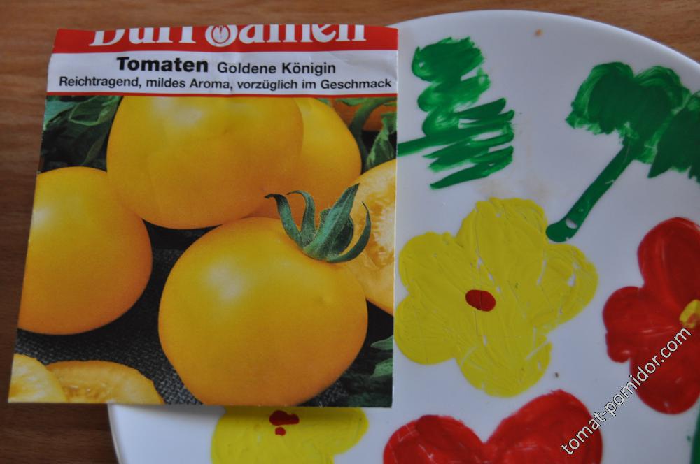 Теплолюбивый томат «золотой юбилей» f1 — яркий скороспелый сорт для вашей теплицы