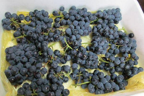 Как сохранить виноград свежим до зимы?