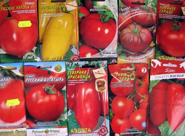 Как собрать семена томатов?