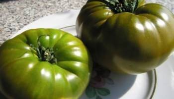 Описание сорта томата щедрость, особенности выращивания и урожайность