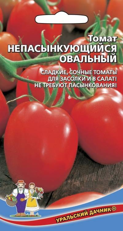 Хороший урожай при минимальном уходе — томат непас 14 непасынкующийся сахарный: описание сорта