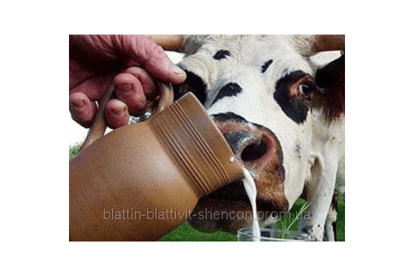 Как развести сухое молоко для поросят
