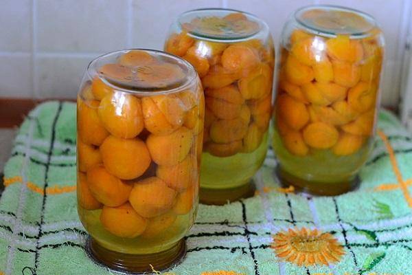 ТОП 14 рецептов приготовления консервированных абрикосов на зиму