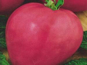Томат «розовое сердце»: характеристика и описание сорта