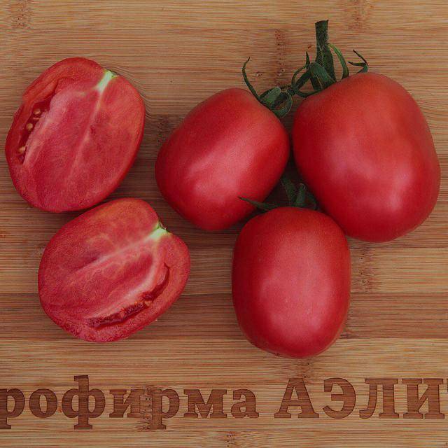 Описание сорта томатов «дамские пальчики»
