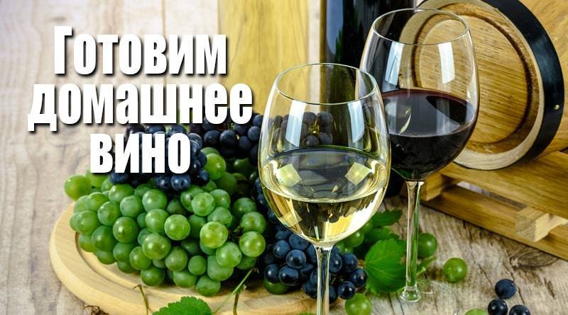 Готовим домашнее вино из красного винограда: условия, этапы, советы и тонкости