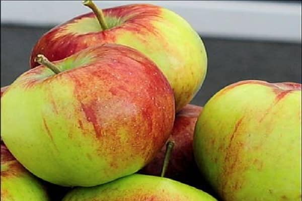 Описание сорта яблони Россошанское Вкусное (Изумительное), выращивание и уход