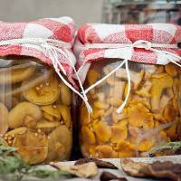 Как приготовить маринованные белые грибы на зиму?