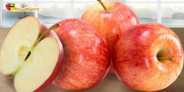 Яблоня голден делишес — прихотливая американка с отличным урожаем