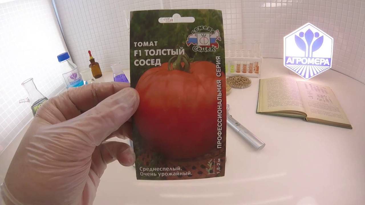 Урожай на славу: какие томаты отличаются небывалой отдачей