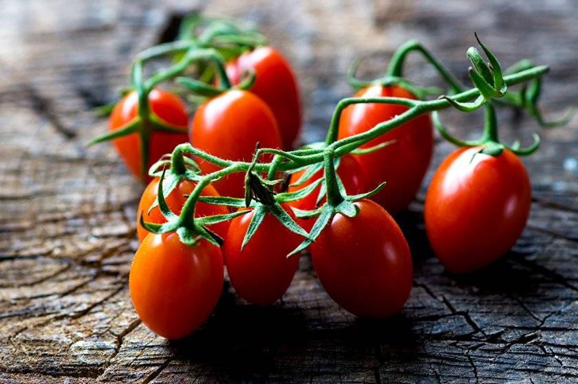 Польза помидоров и вред для организма: показания и противопоказания к применению томатов (110 фото и видео)