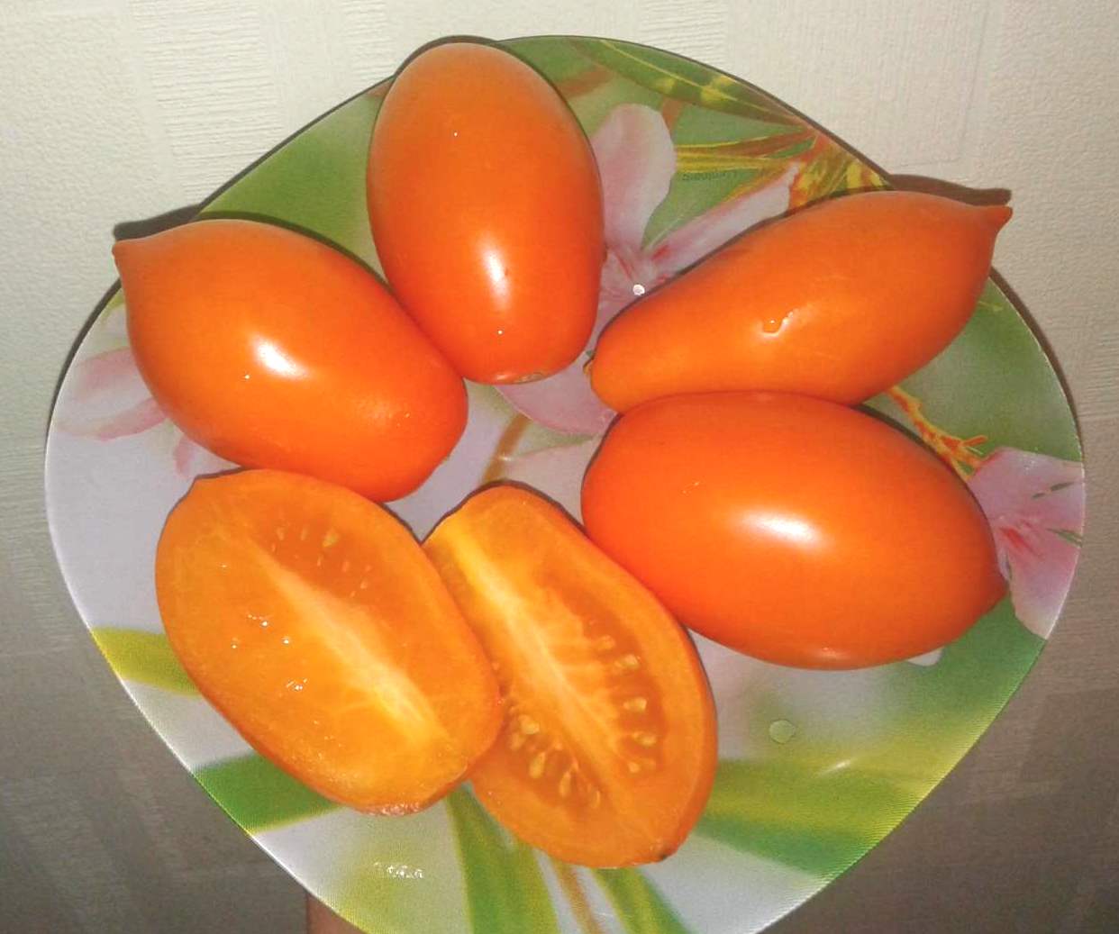 Характеристика и описание сорта томата Золотая рыбка, его урожайность